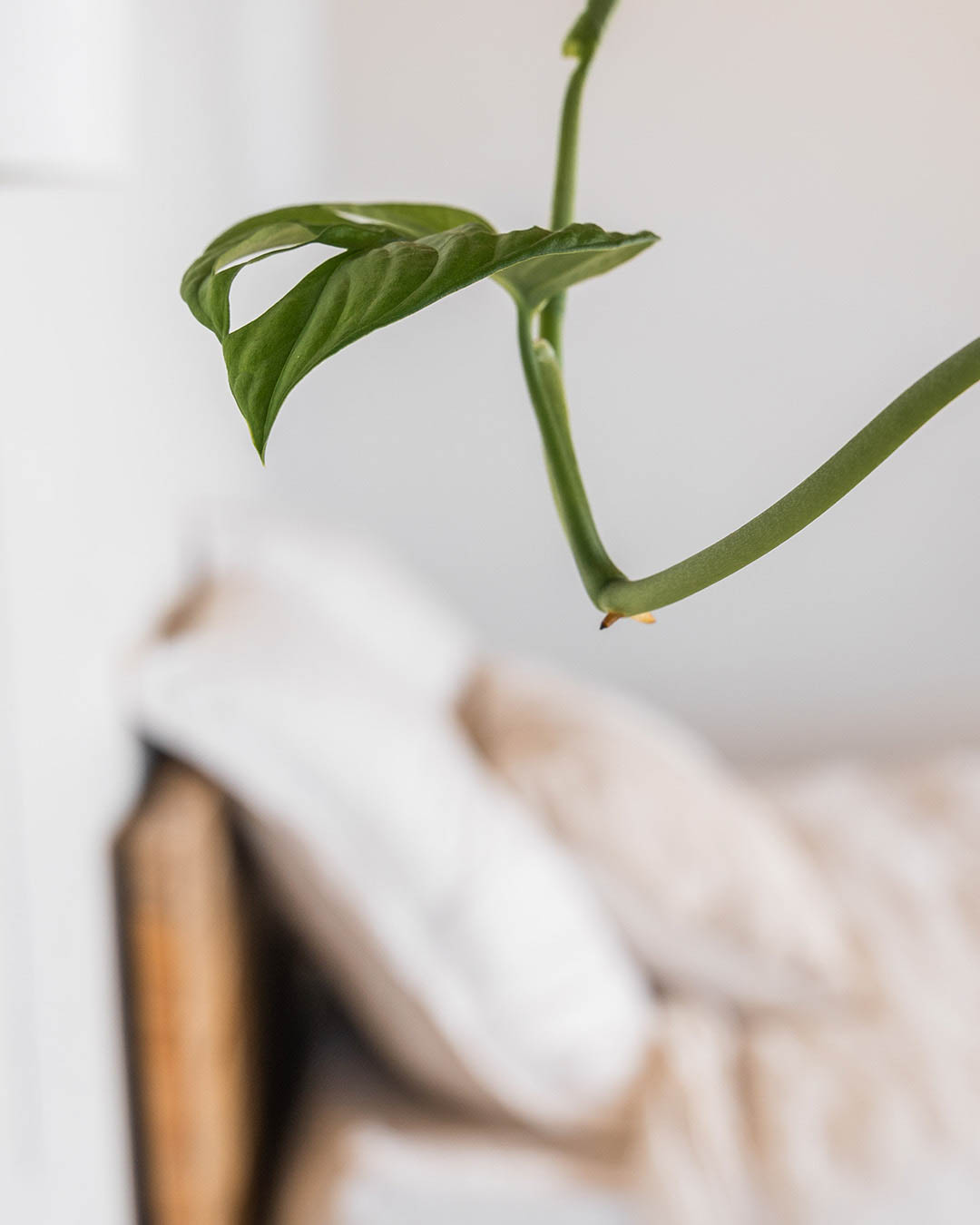 Interni di casa tipica pugliese con luce naturale – shooting fotografico professionale in Puglia